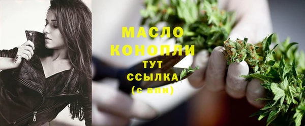 гашик Аркадак