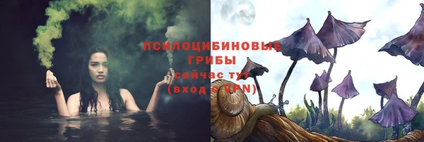 гашик Аркадак