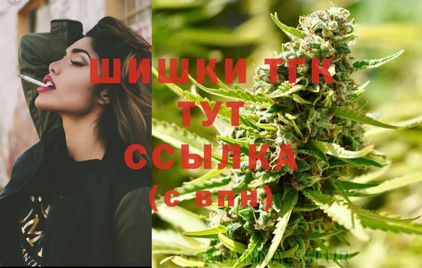 гашик Аркадак