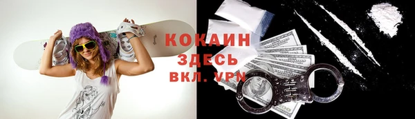 гашик Арсеньев