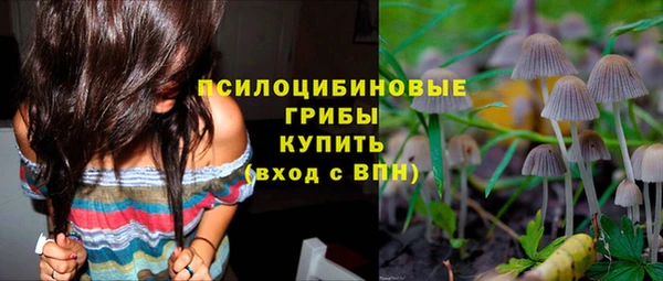 гашик Арсеньев