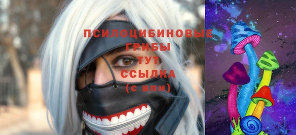 гашик Арсеньев